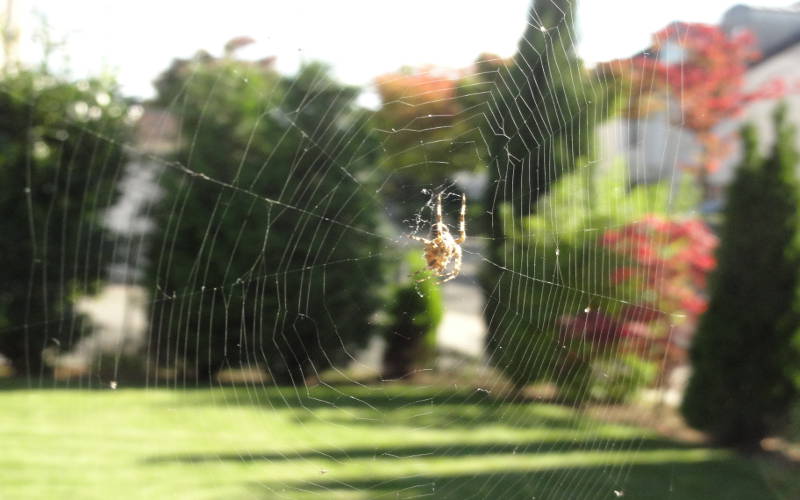 Personal Branding von Recruitern und Recruiting Managern